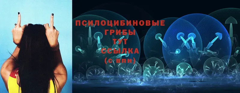 Псилоцибиновые грибы MAGIC MUSHROOMS  hydra маркетплейс  Неман 